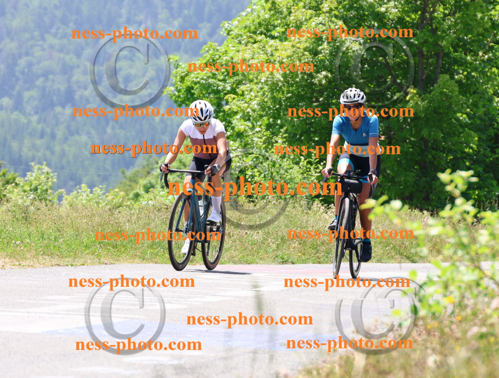 Col du grand Colombier (2692).JPG