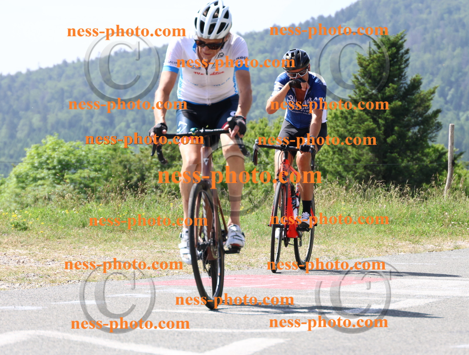 Col du grand Colombier (1168).JPG