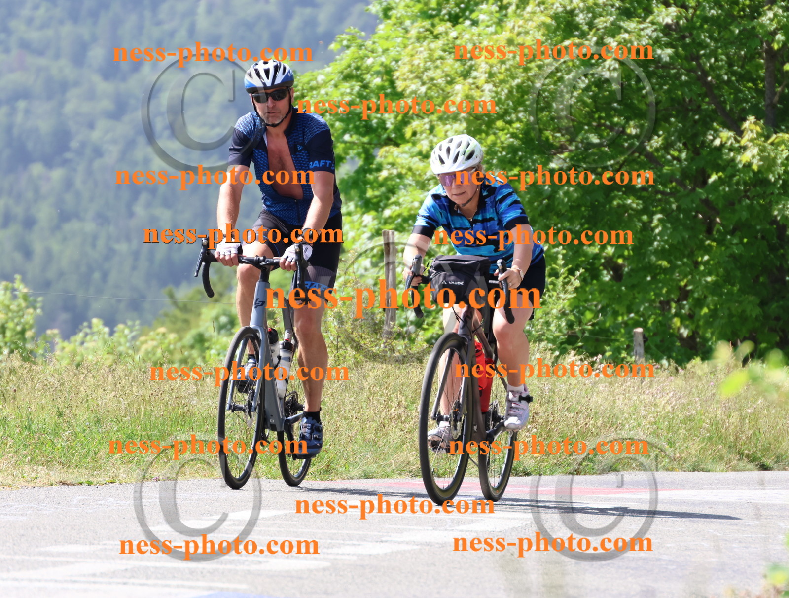 Col du grand Colombier (1240).JPG