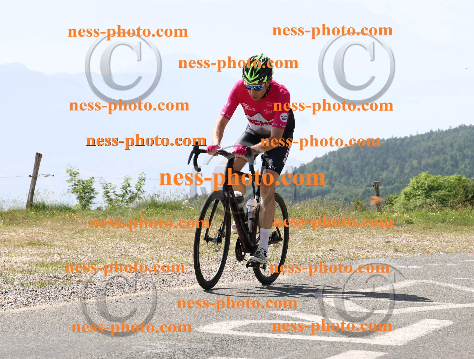 Col du grand Colombier (974).JPG