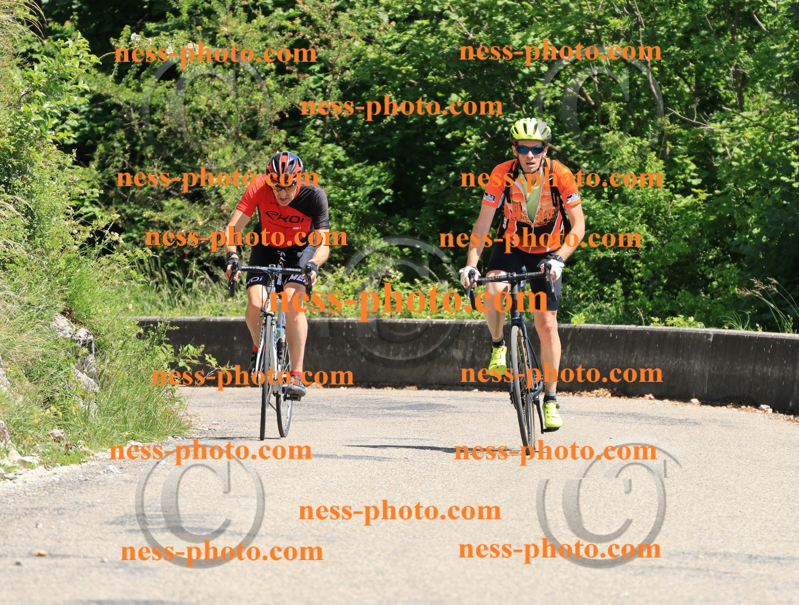 Col du Grand Colombier (674).JPG