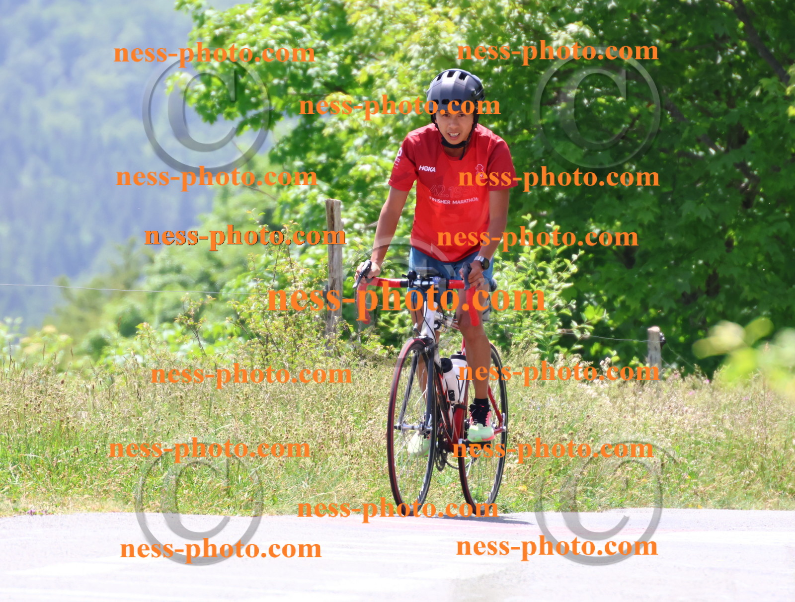 Col du grand Colombier (2842).JPG