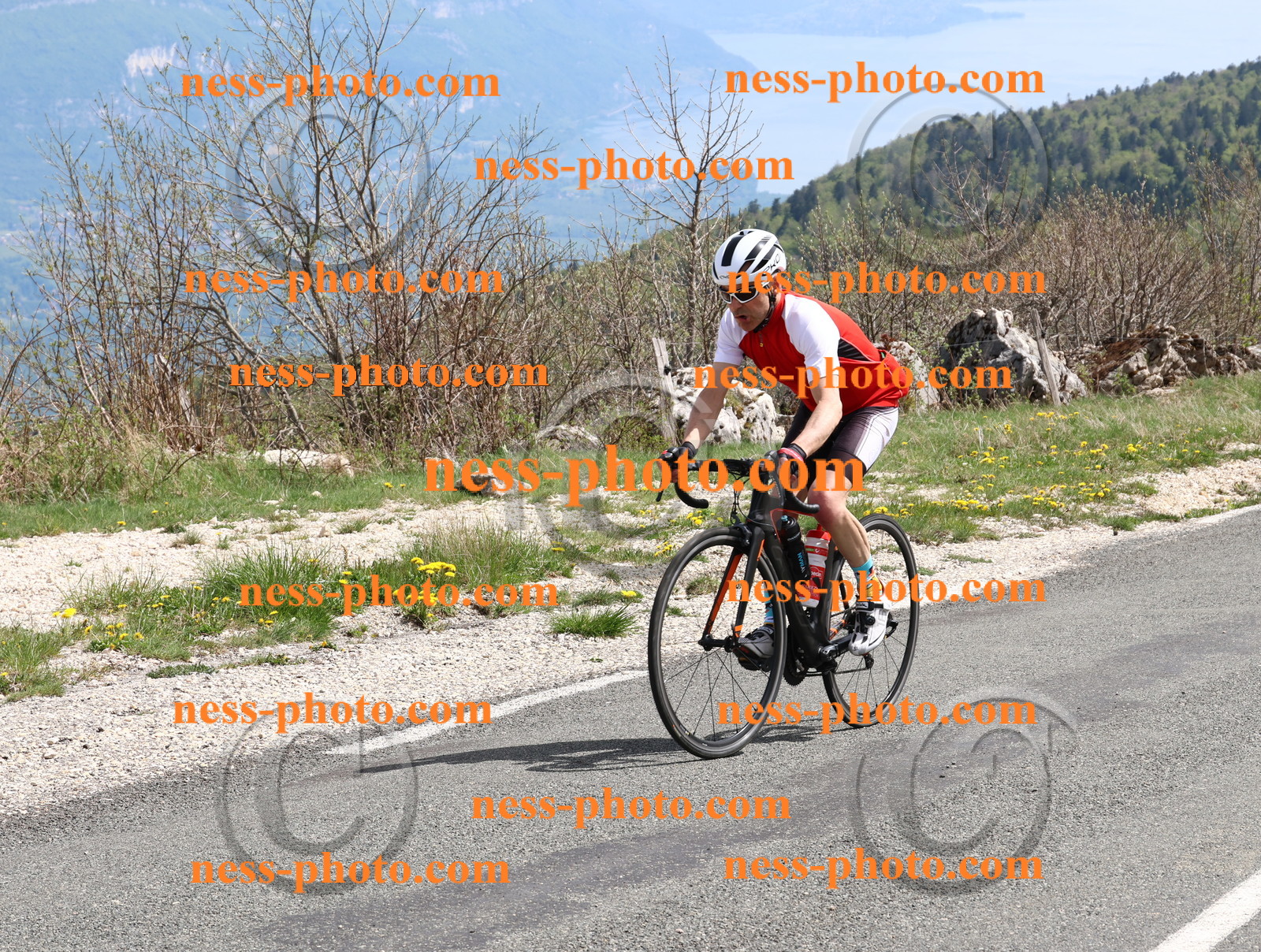 Col du Grand Colombier (979).JPG