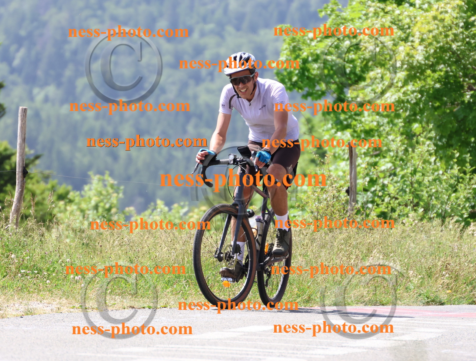 Col du grand Colombier (1569).JPG