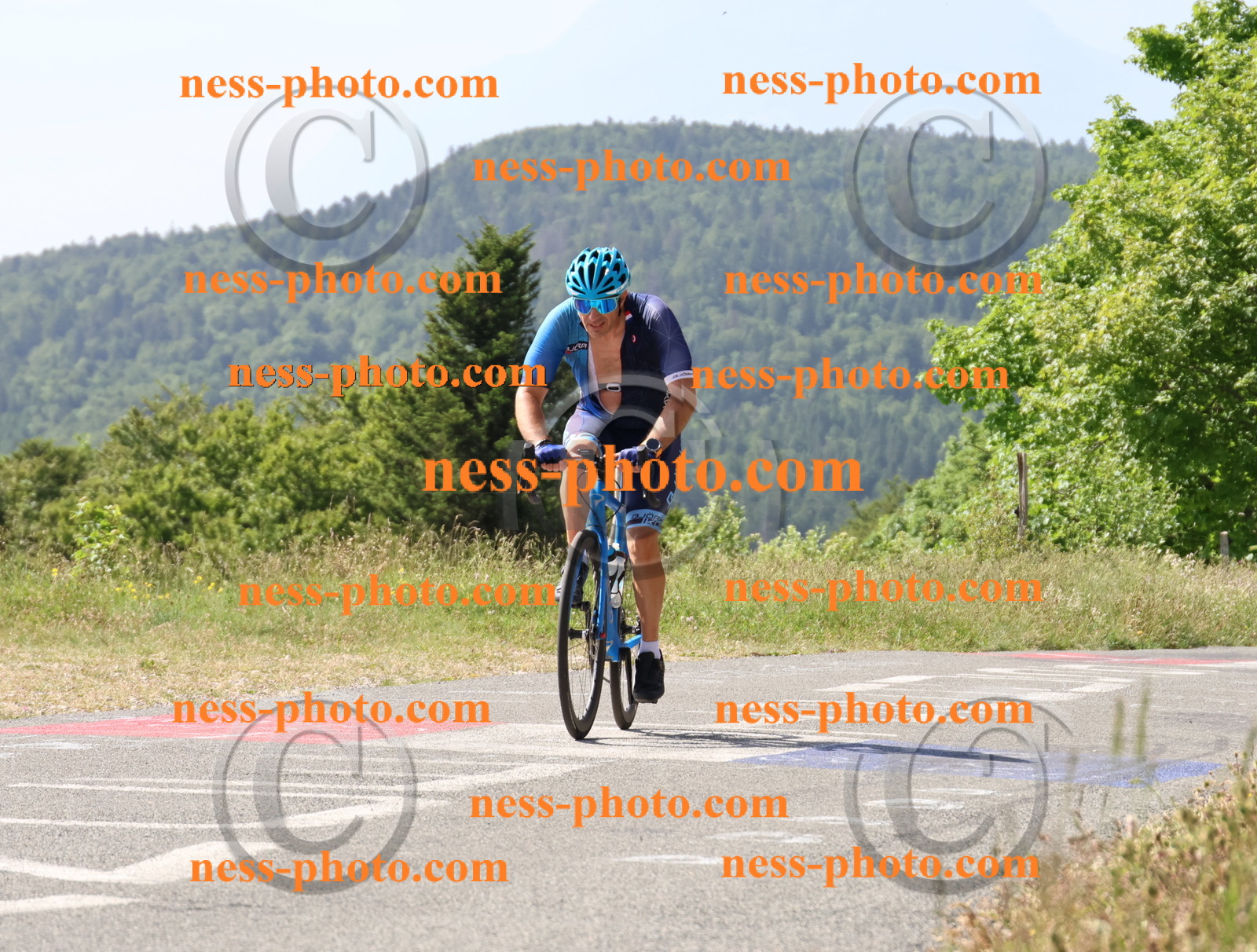 Col du grand Colombier (872).JPG