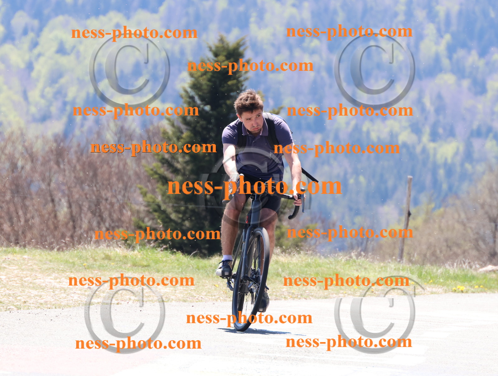 Col du Grand Colombier (466).JPG