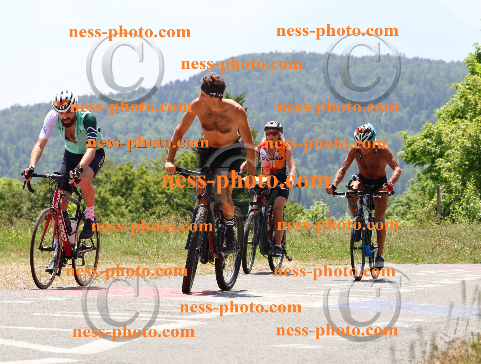 Col du grand Colombier (2884).JPG