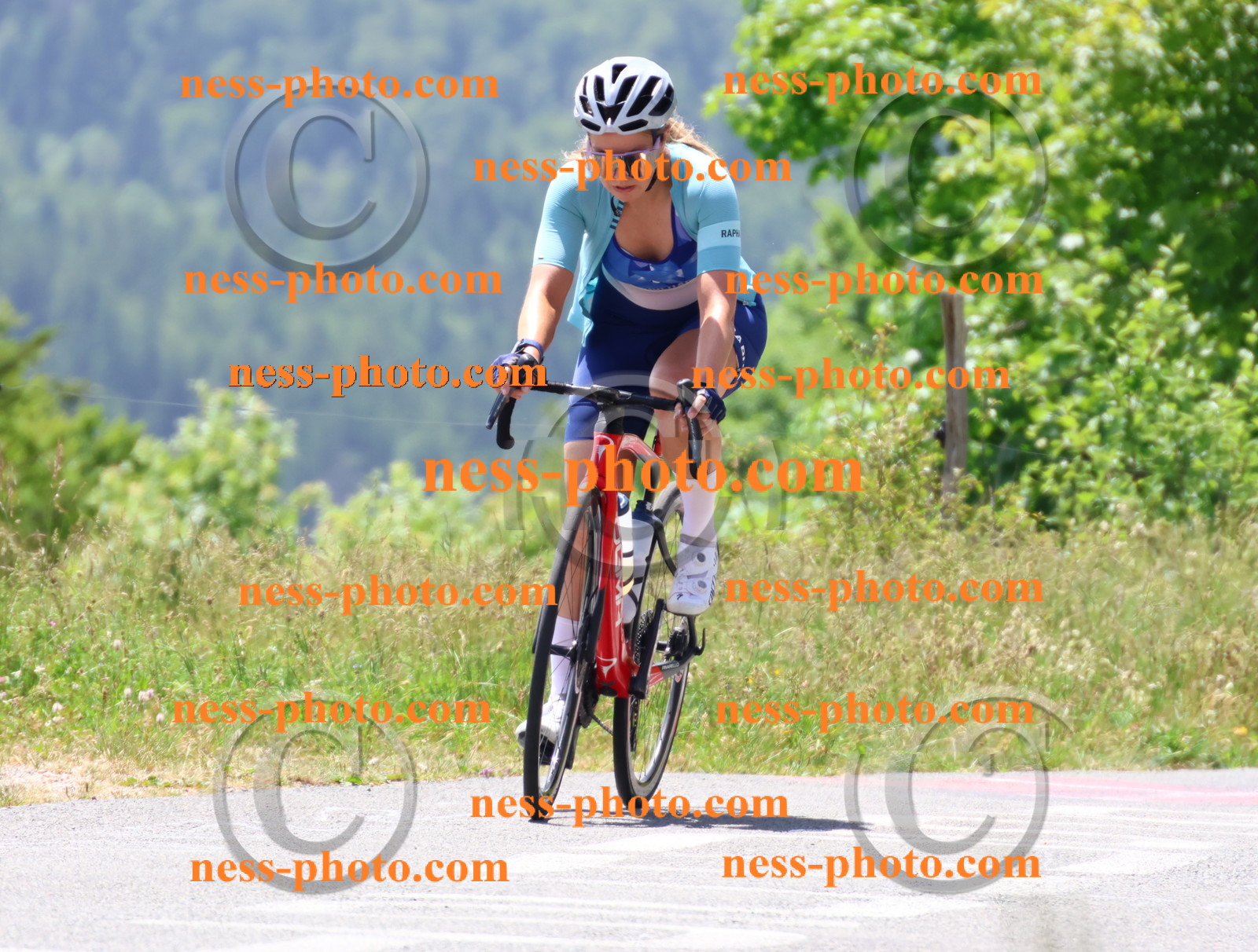 Col du grand Colombier (2668).JPG