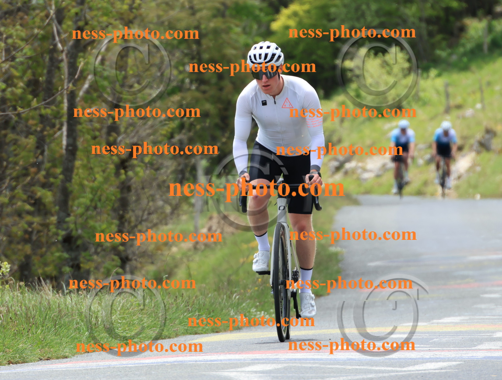 Col du Grand Colombier (455).JPG