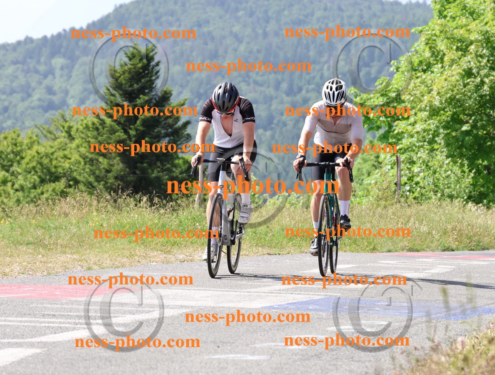 Col du grand Colombier (1017).JPG