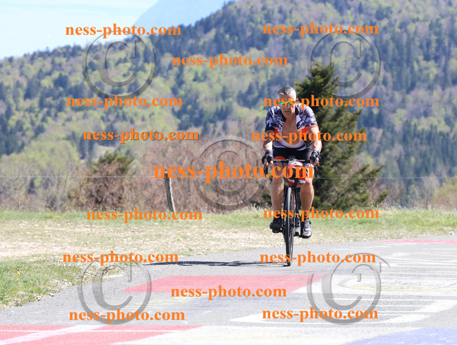 Col du Grand Colombier (1005).JPG