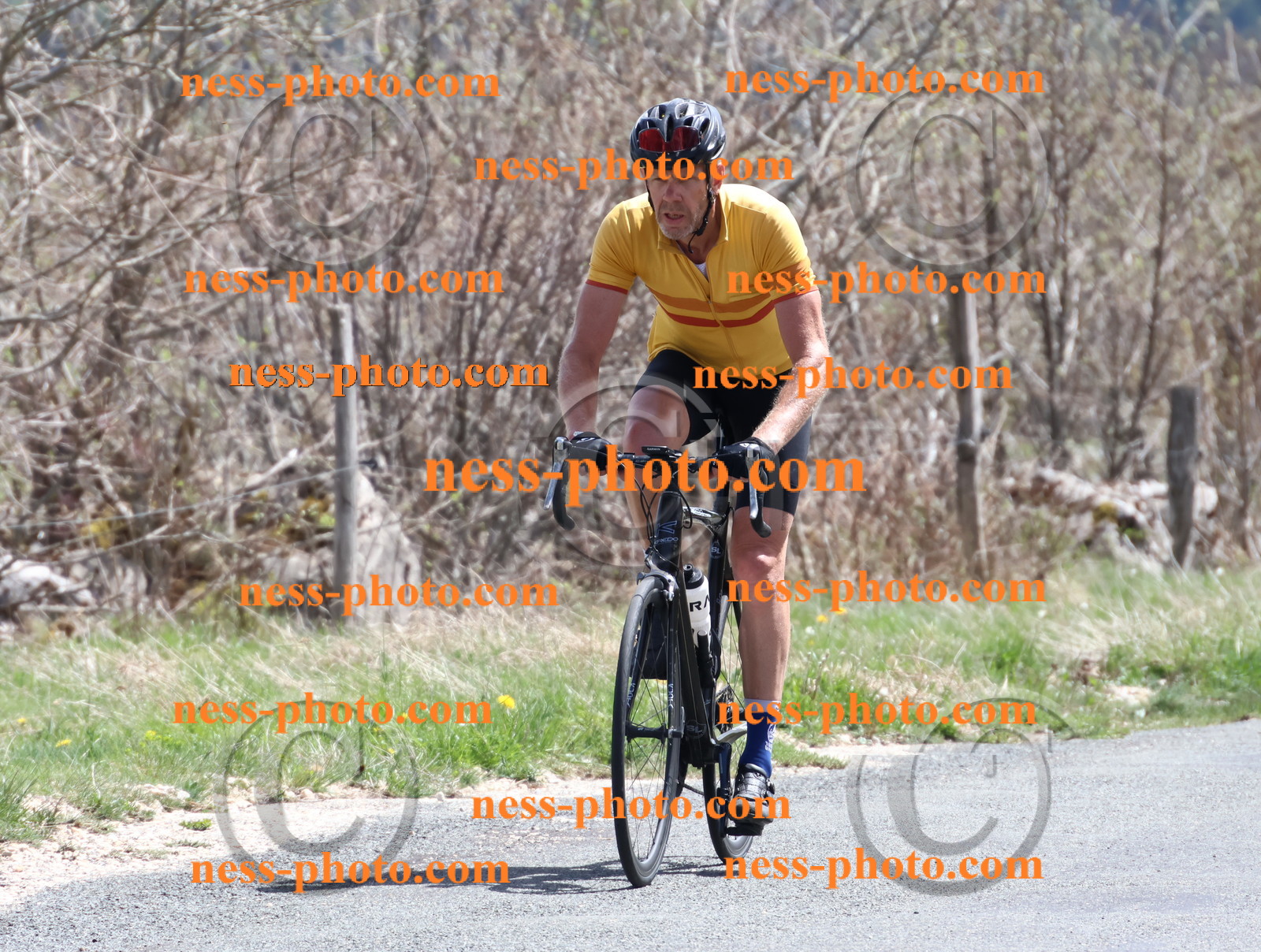 Col du Grand Colombier (909).JPG