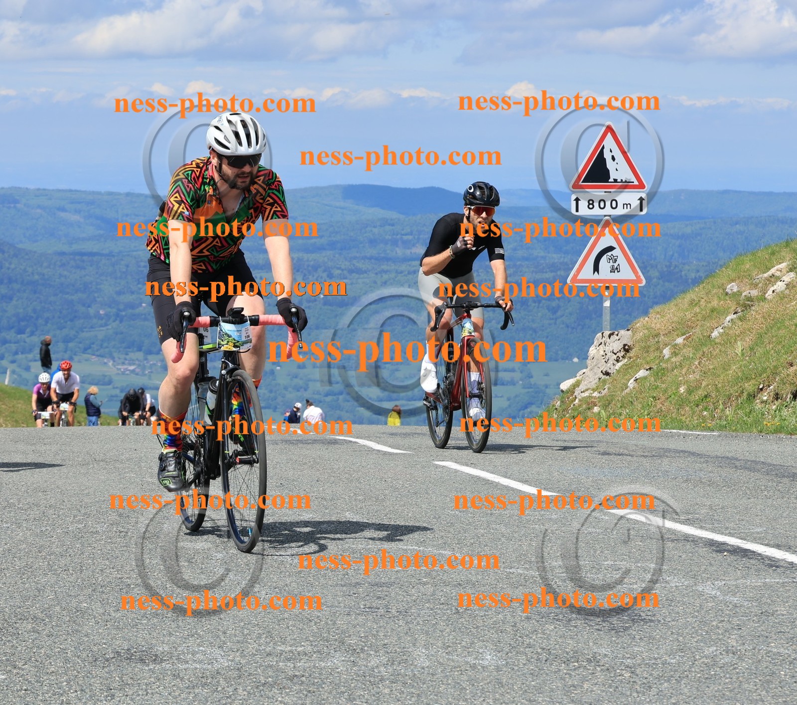 Col du Grand Colombier (1163).JPG