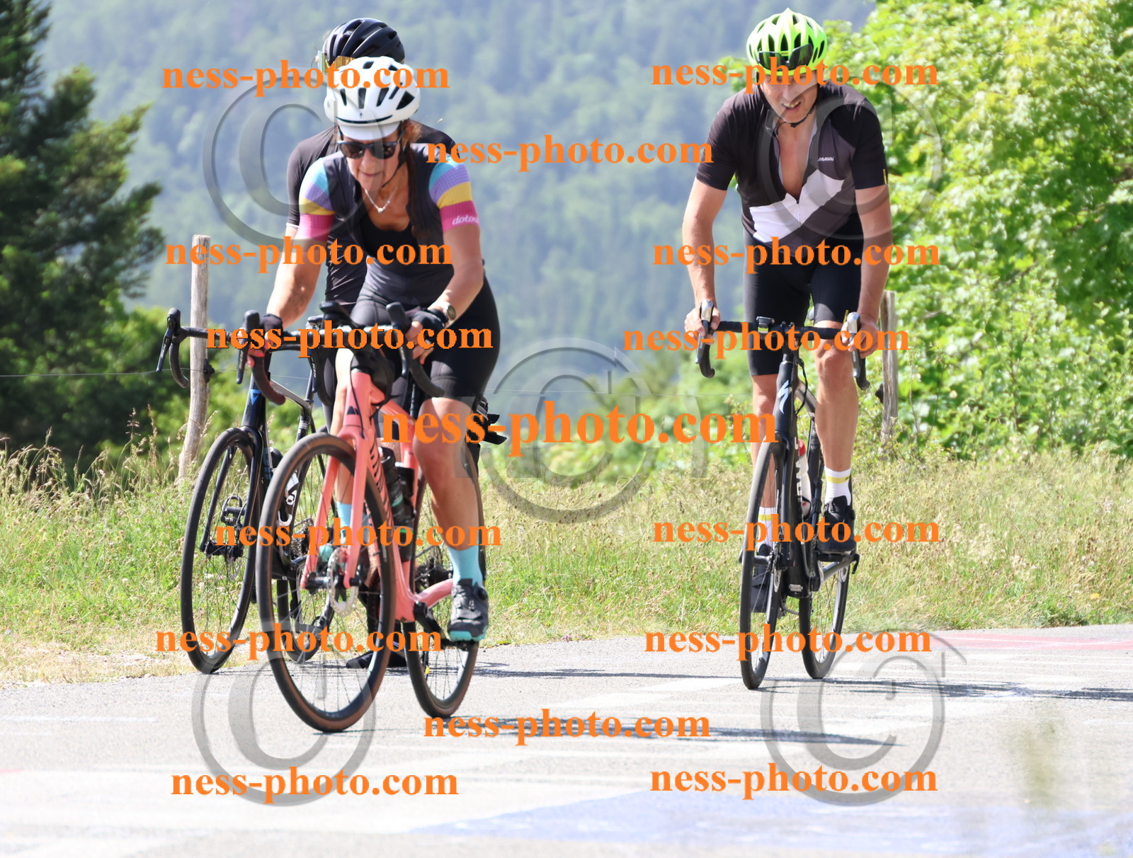 Col du grand Colombier (1182).JPG