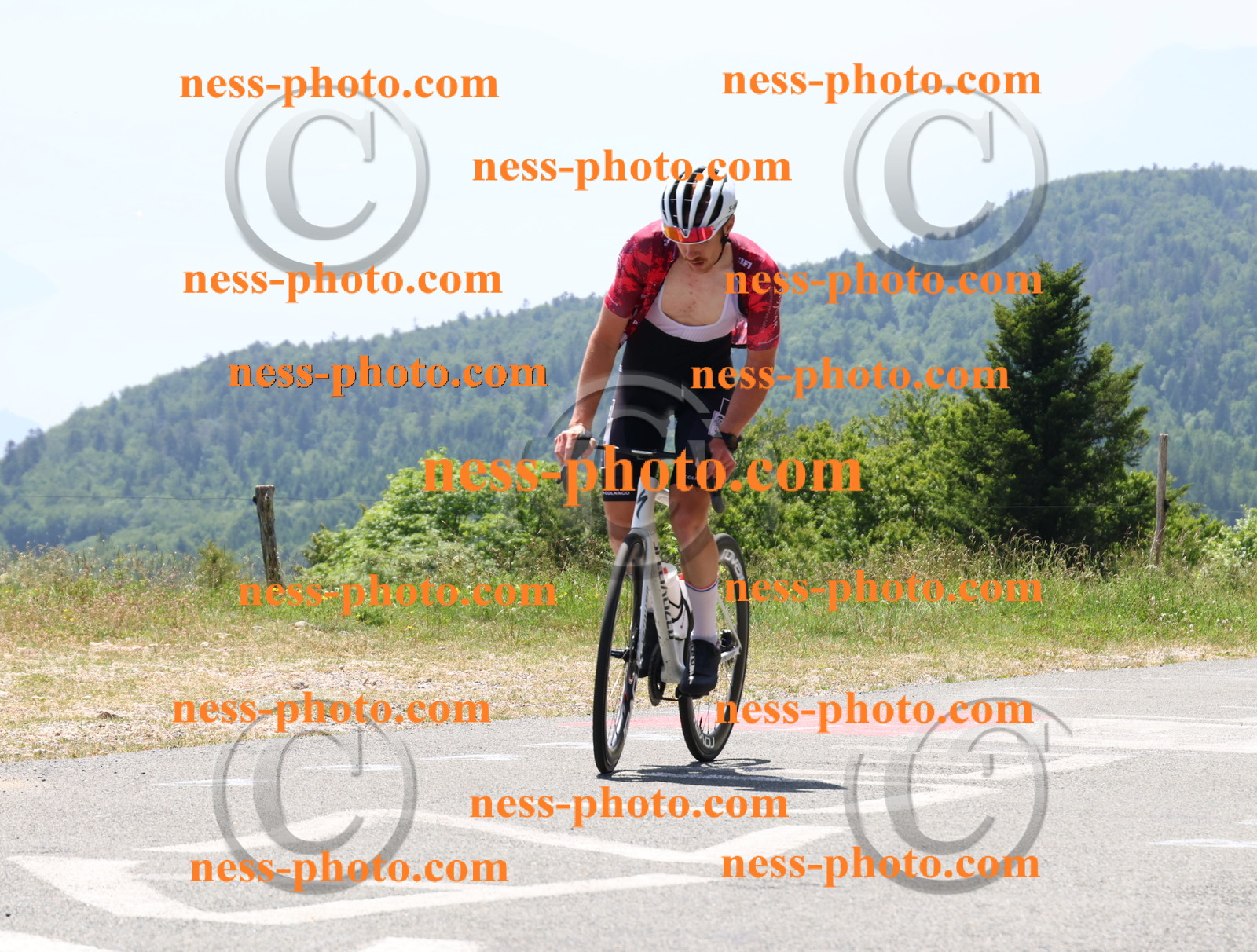 Col du grand Colombier (2733).JPG