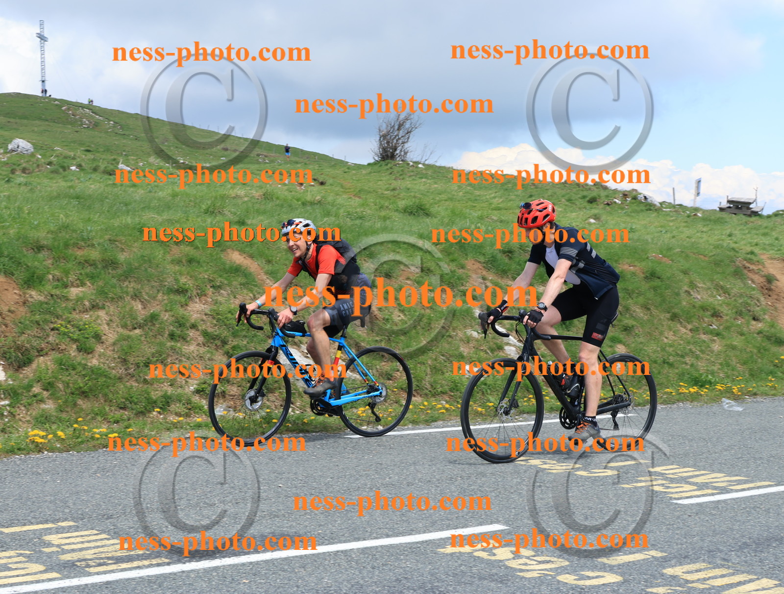 Col du Grand Colombier (2667).JPG