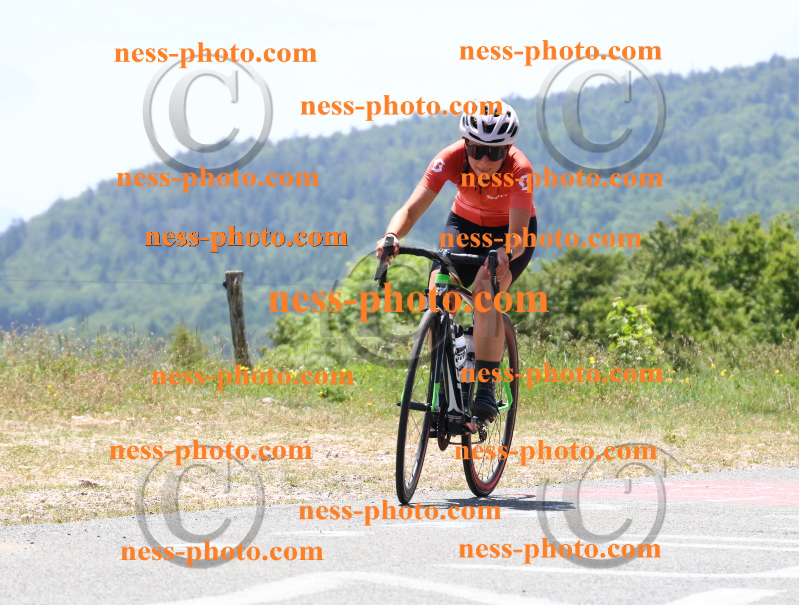 Col du grand Colombier (2718).JPG