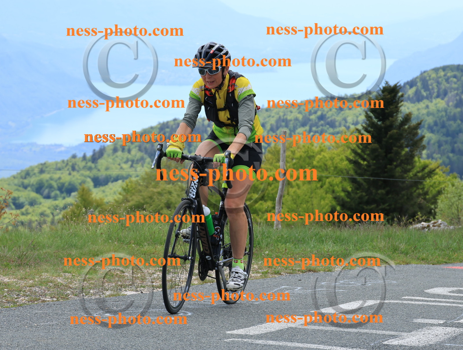 Col du Grand Colombier (403).JPG