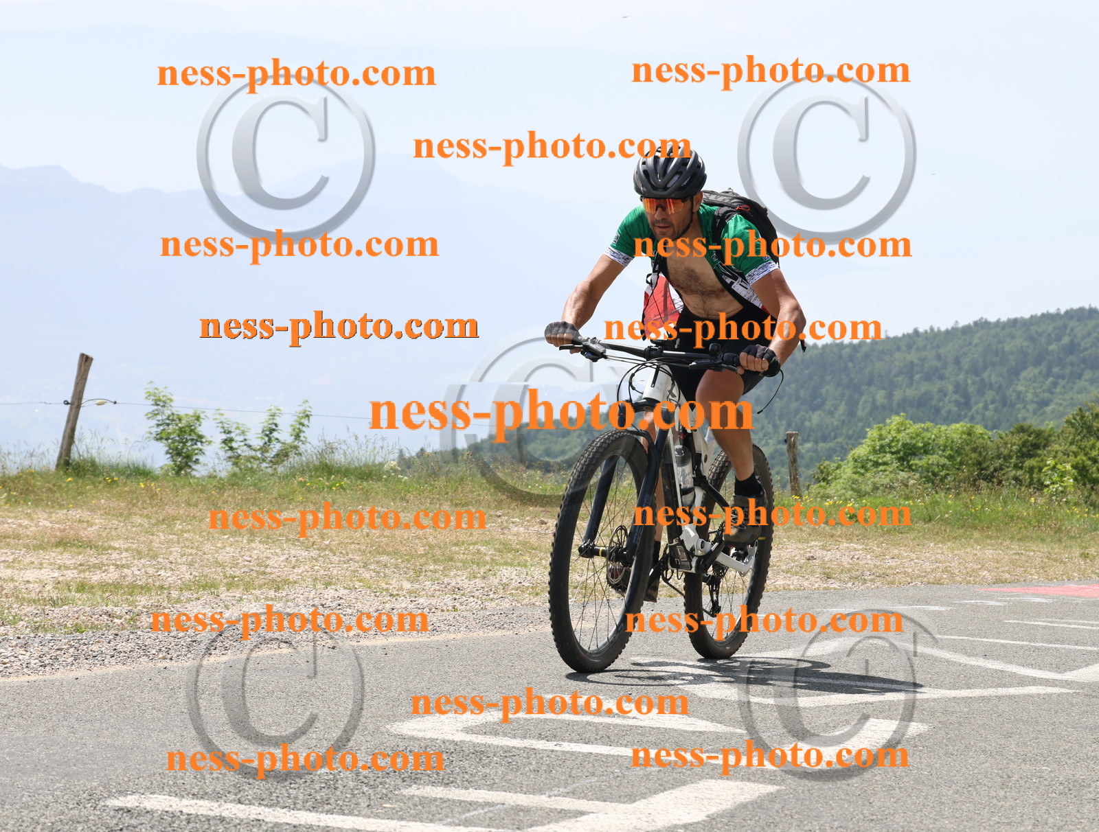 Col du grand Colombier (2042).JPG