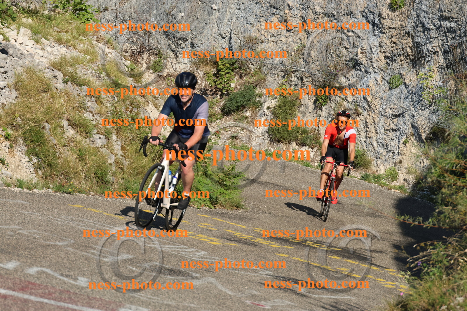 Col du Grand Colombier (64).JPG