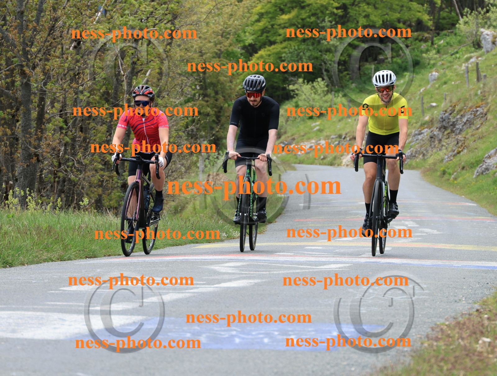 Col du Grand Colombier (444).JPG