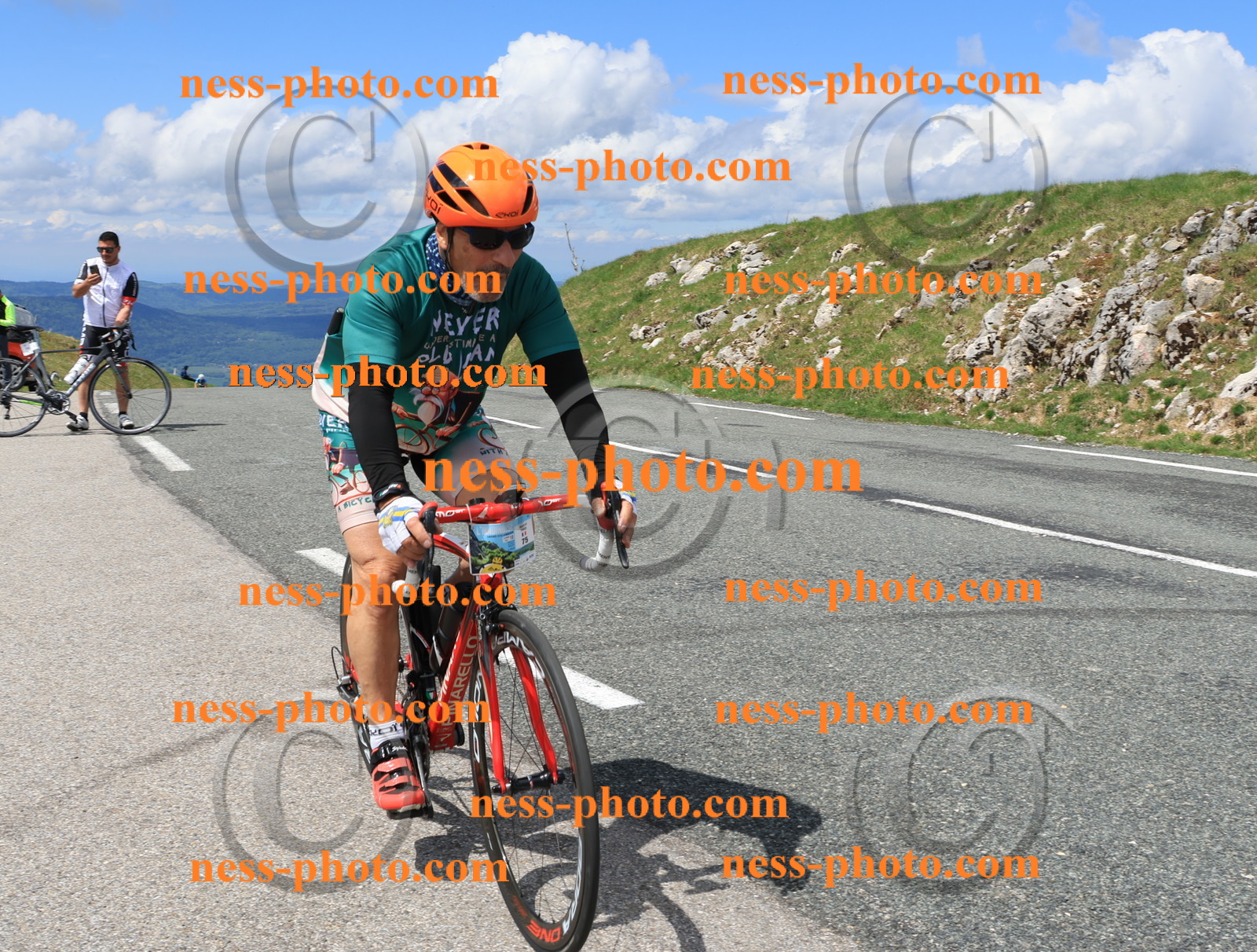 Col du Grand Colombier (2529).JPG