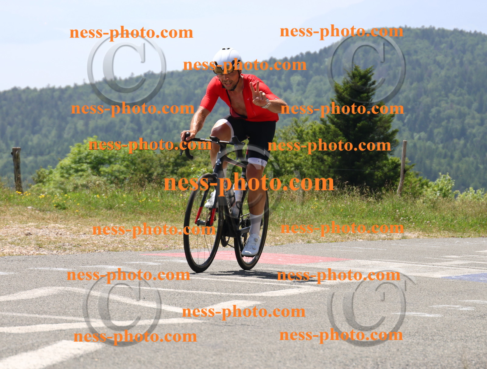 Col du grand Colombier (2521).JPG