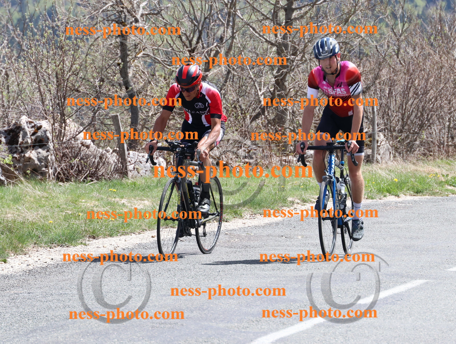 Col du Grand Colombier (897).JPG