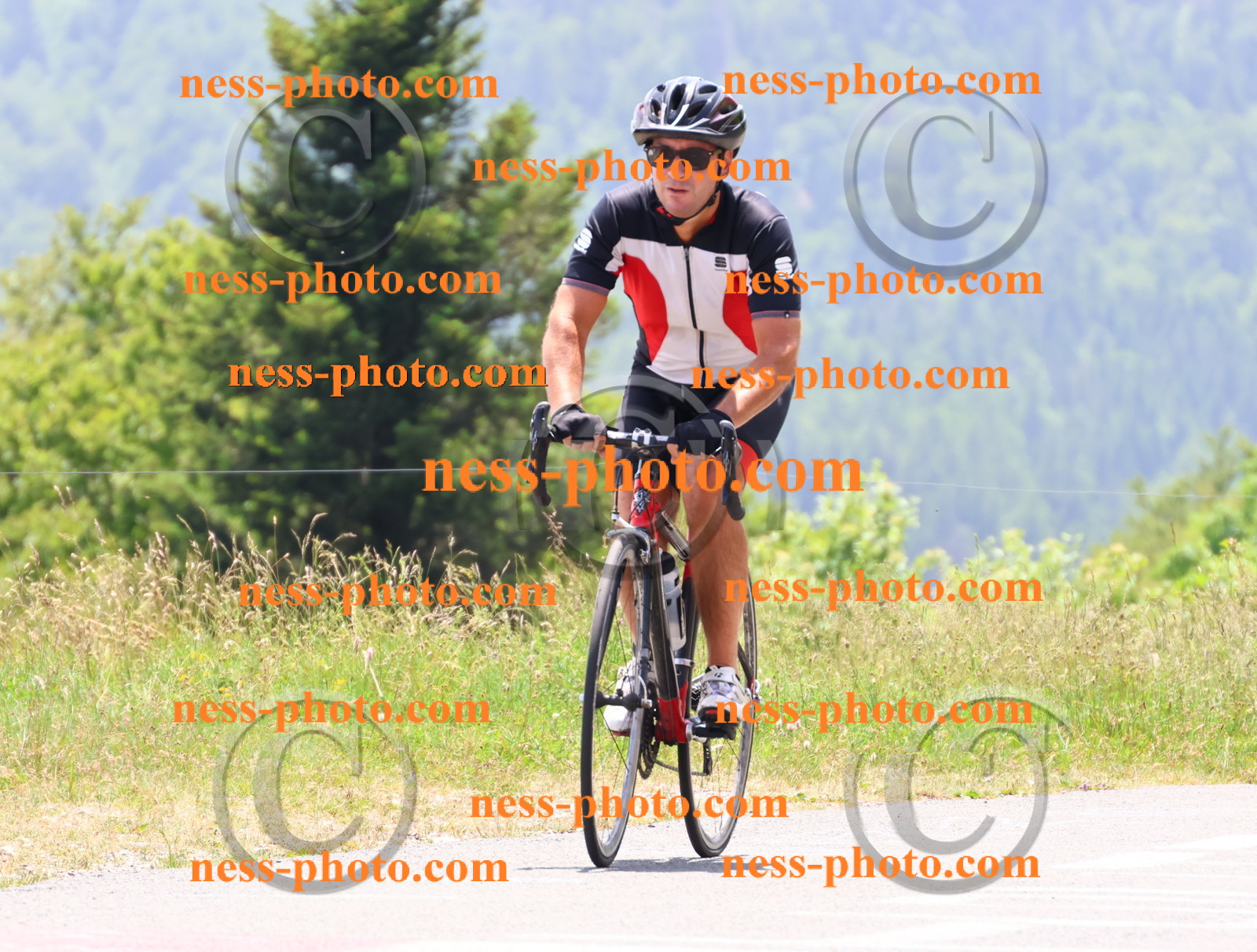 Col du grand Colombier (3008).JPG