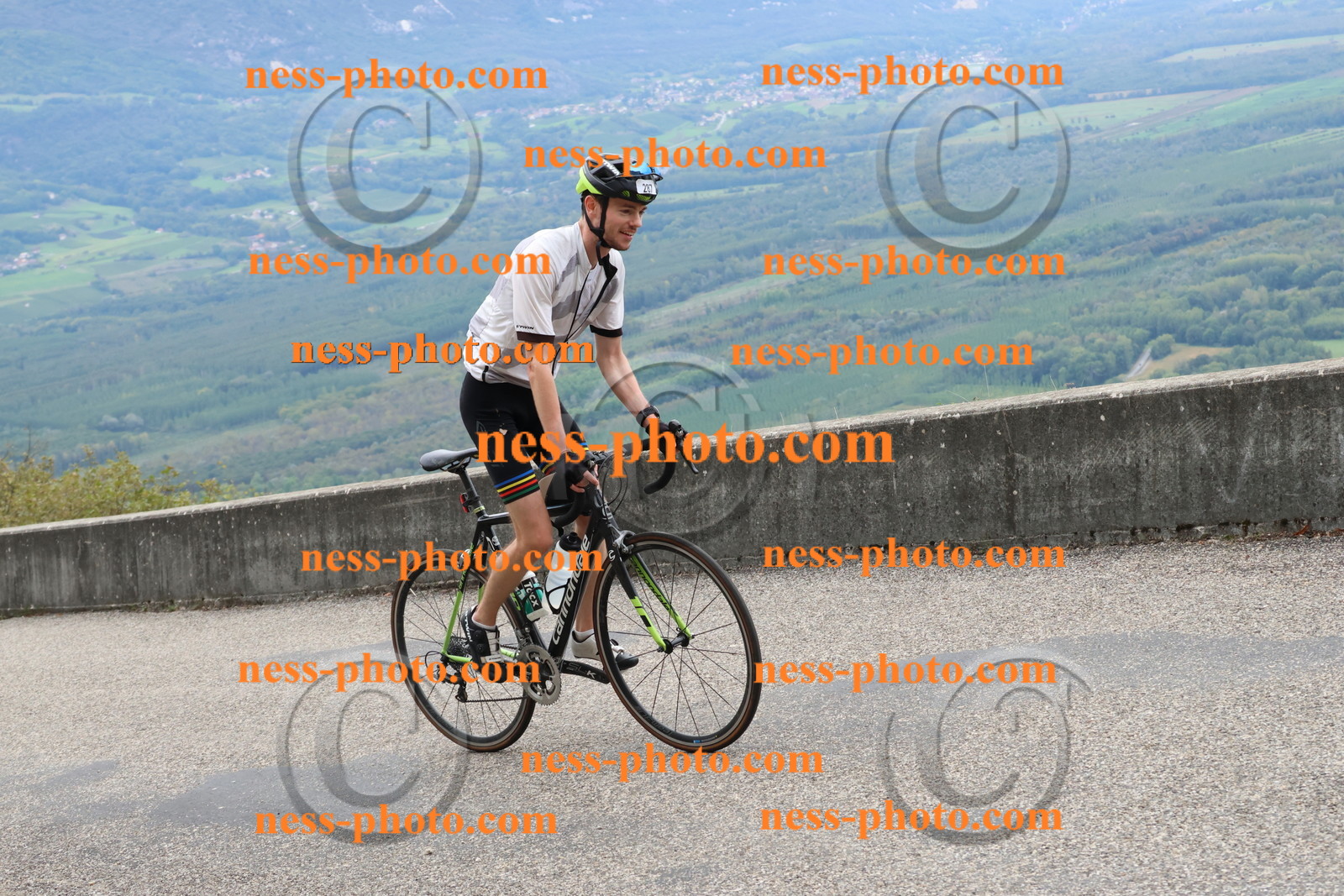 Col du Grand Colombier (2516).JPG