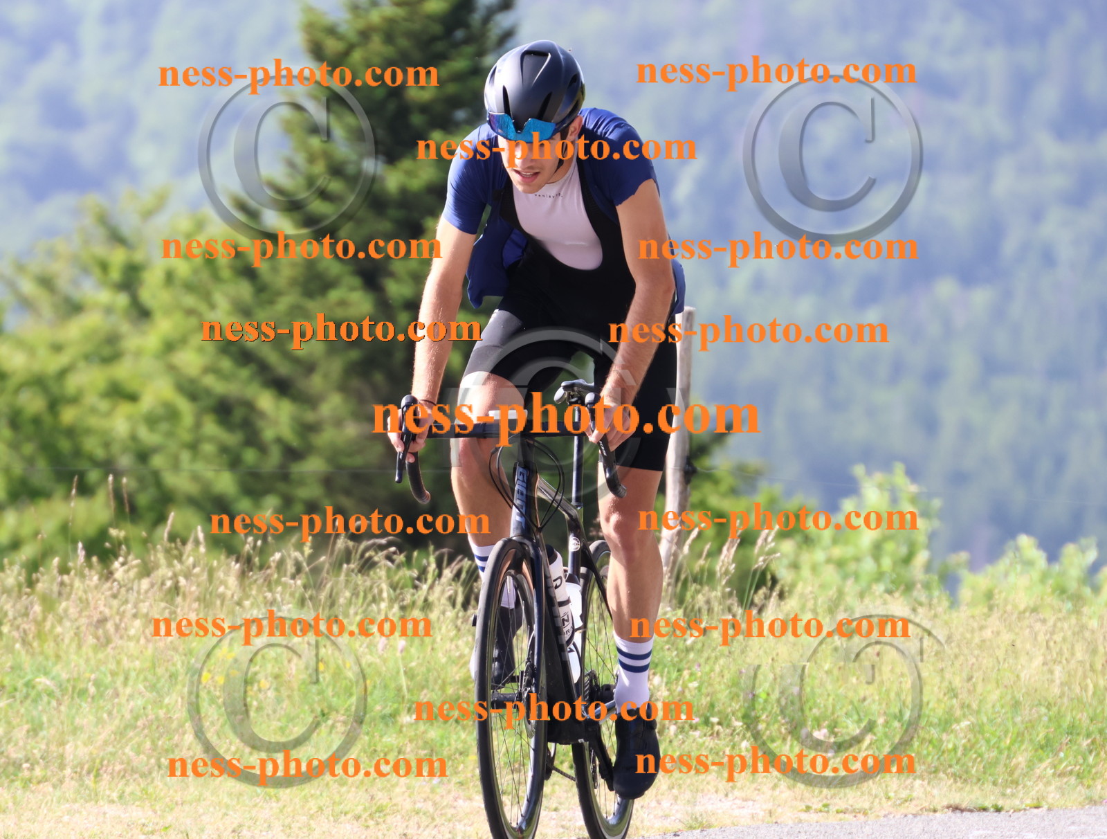 Col du grand Colombier (206).JPG