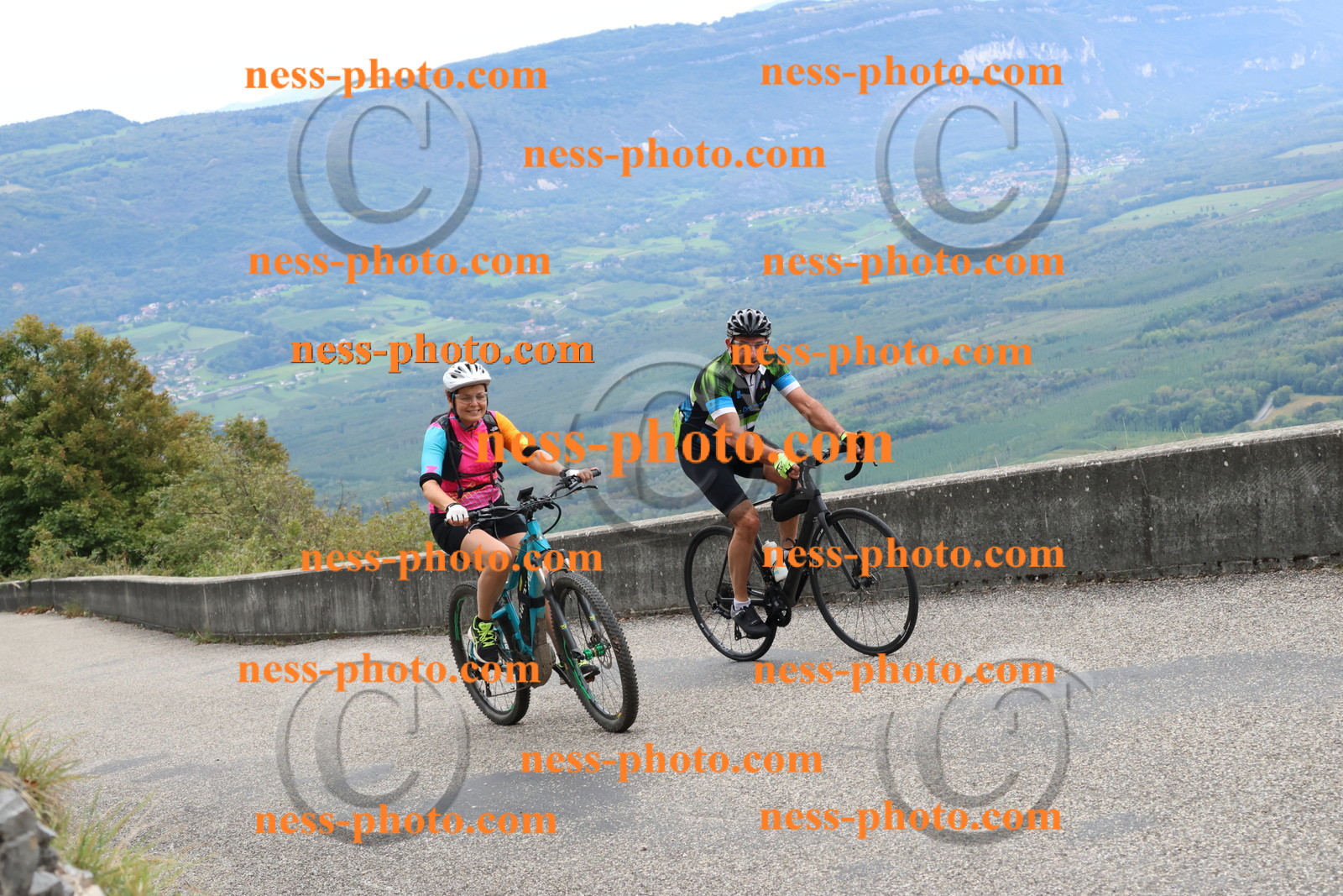 Col du Grand Colombier (2564).JPG