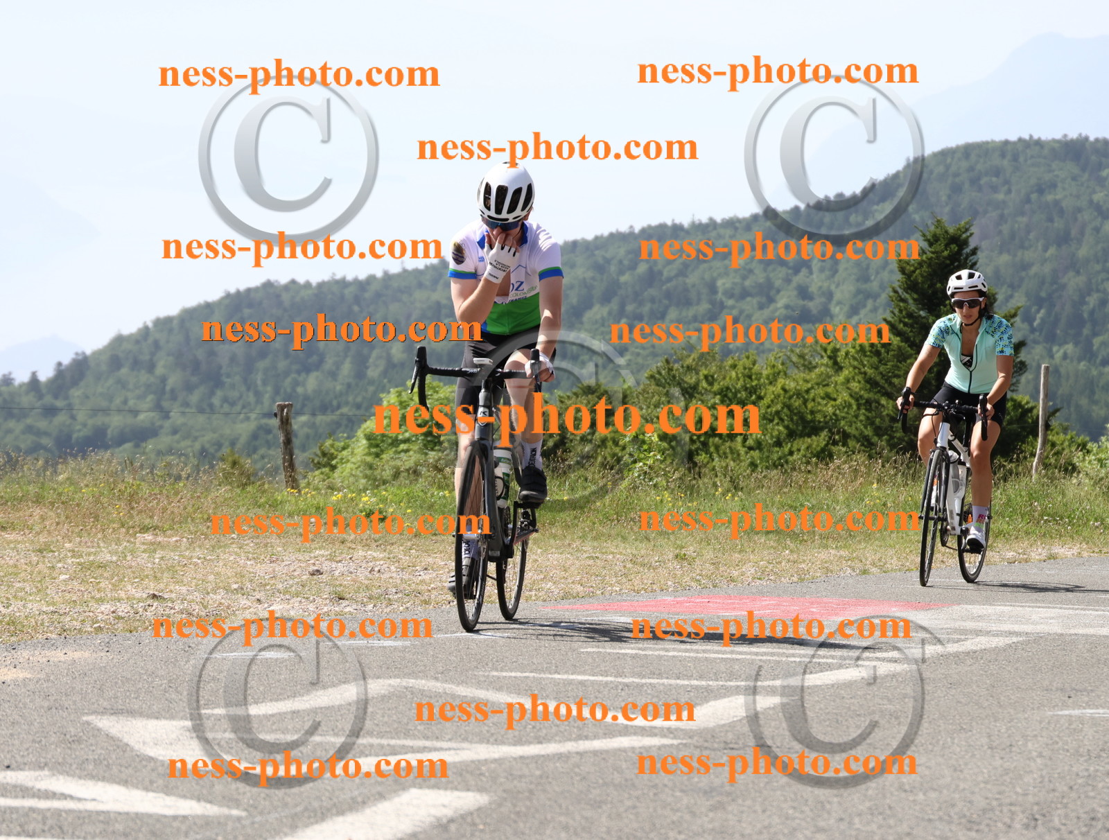 Col du grand Colombier (946).JPG