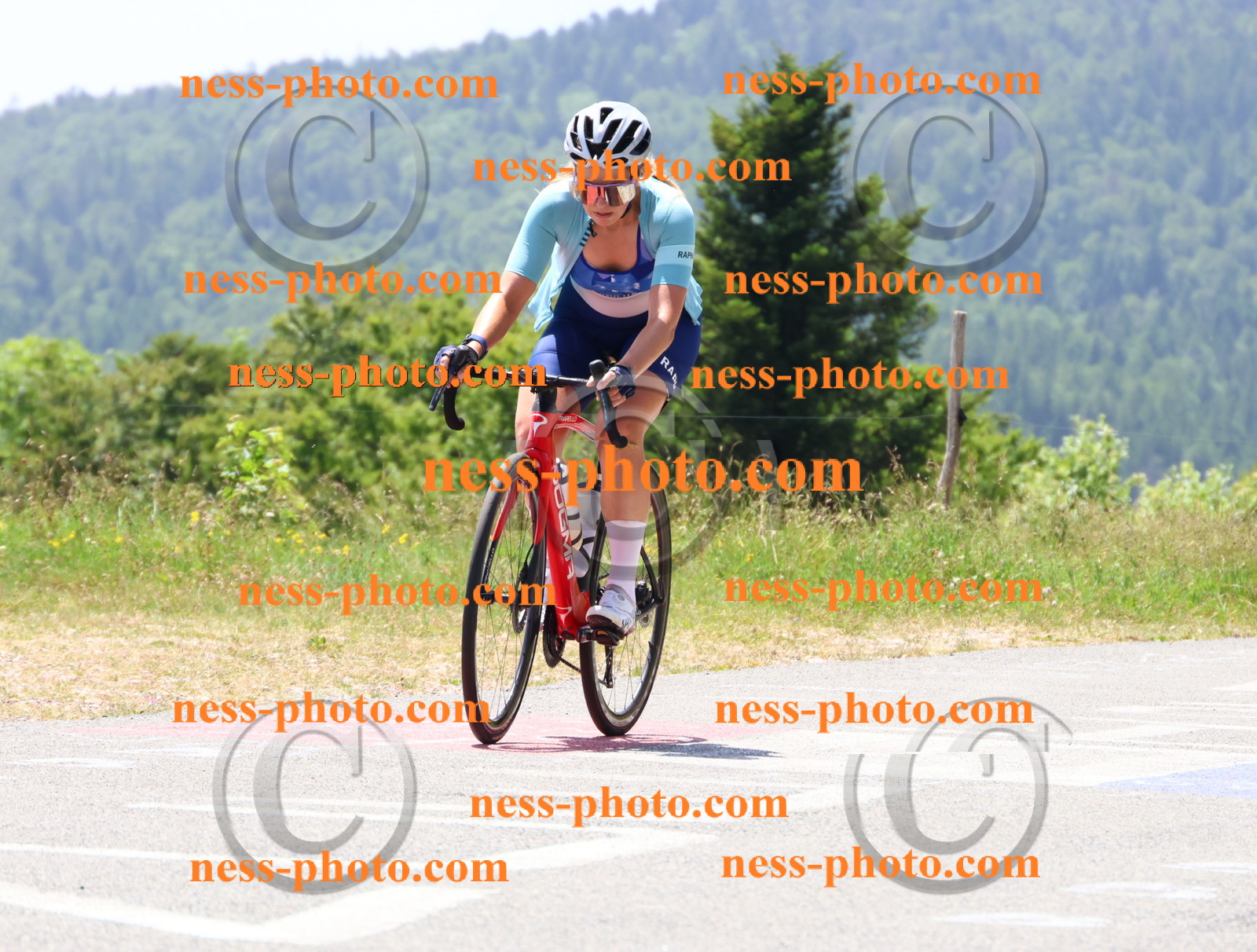 Col du grand Colombier (2670).JPG