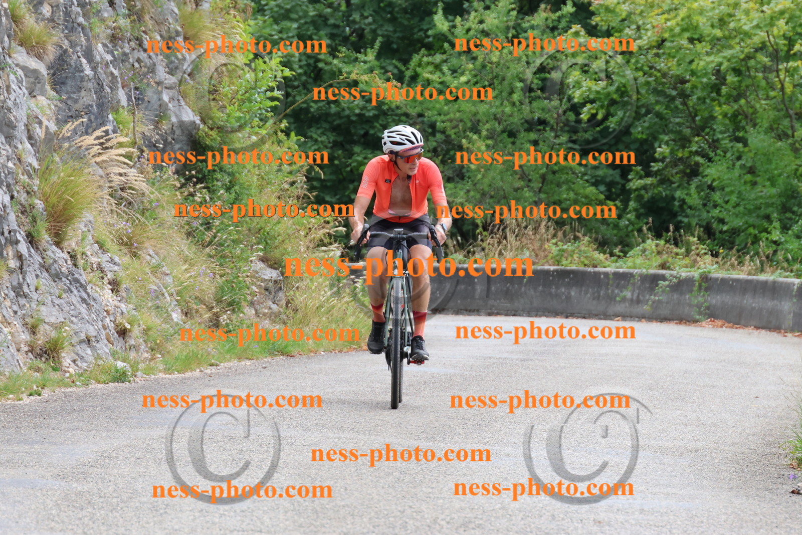 Col du Grand Colombier (113).JPG