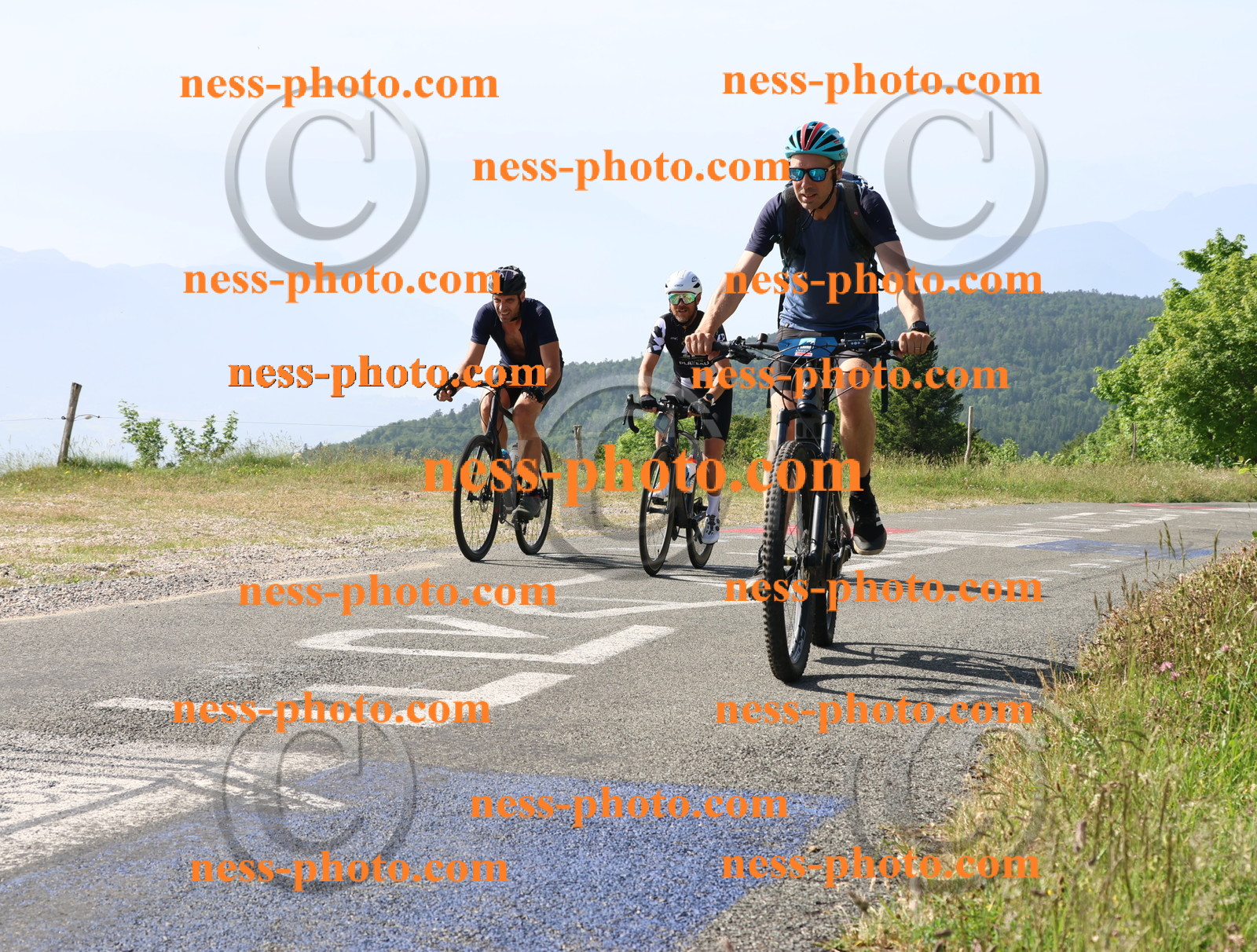 Col du grand Colombier (237).JPG