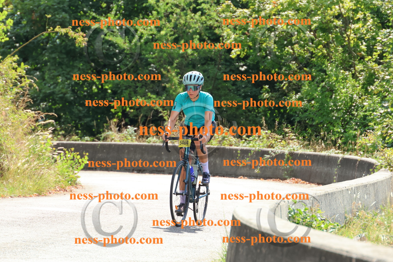 Col du Grand Colombier (80).JPG