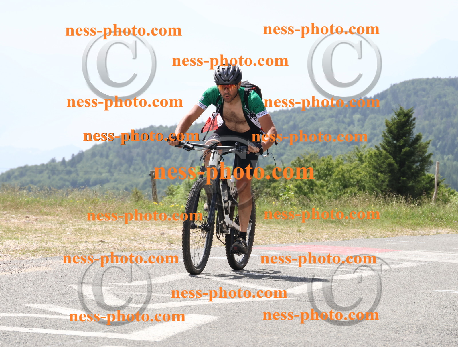 Col du grand Colombier (2041).JPG