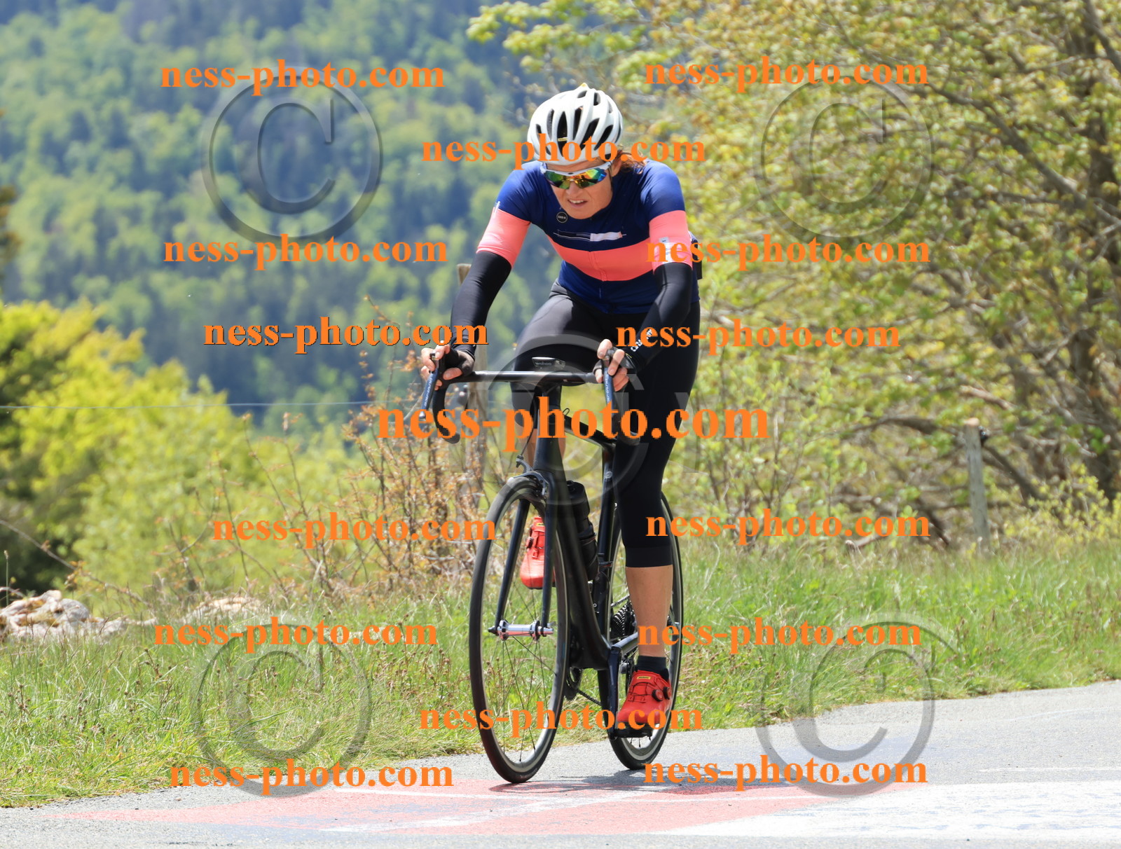 Col du Grand Colombier (318).JPG