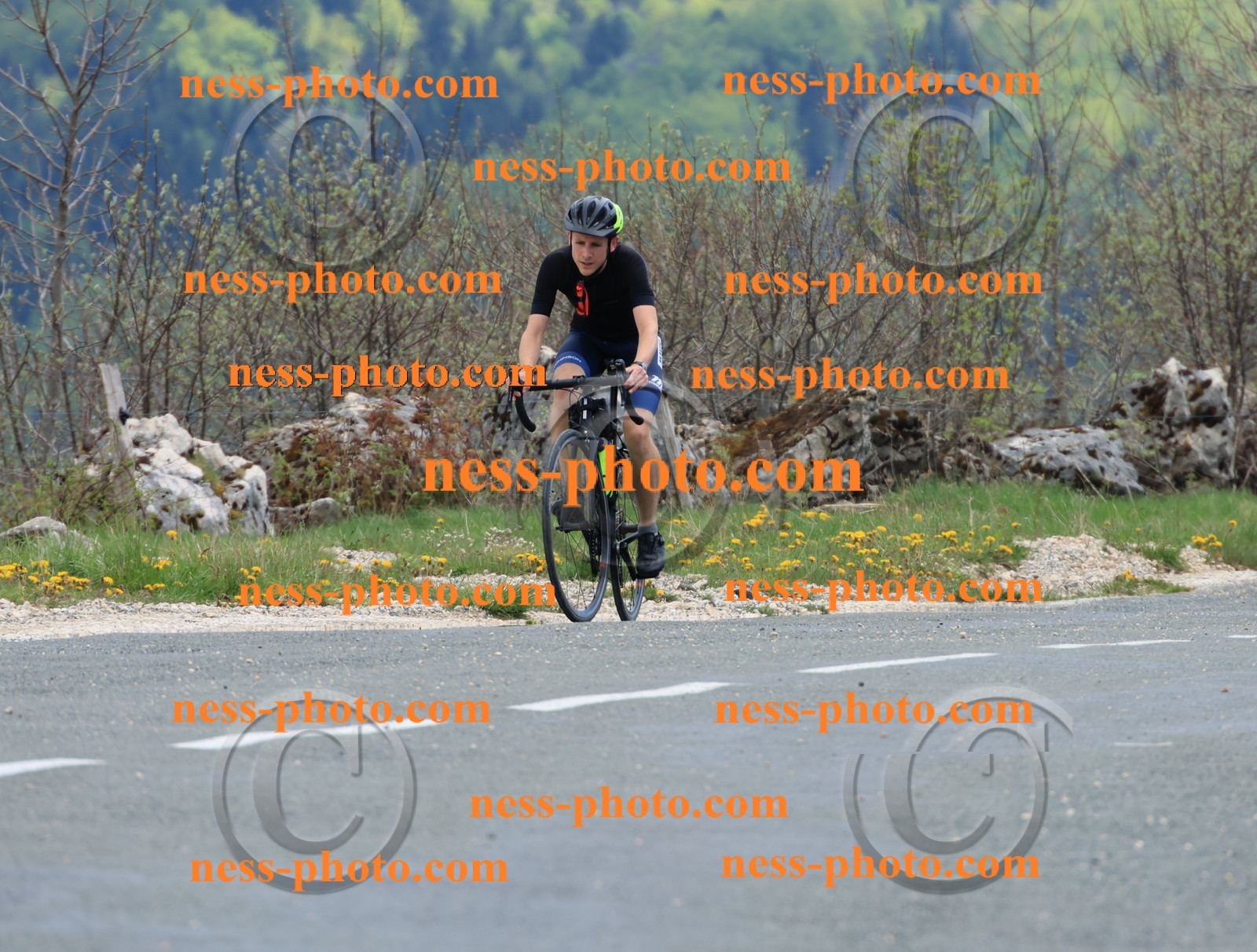 Col du Grand Colombier (3102).JPG