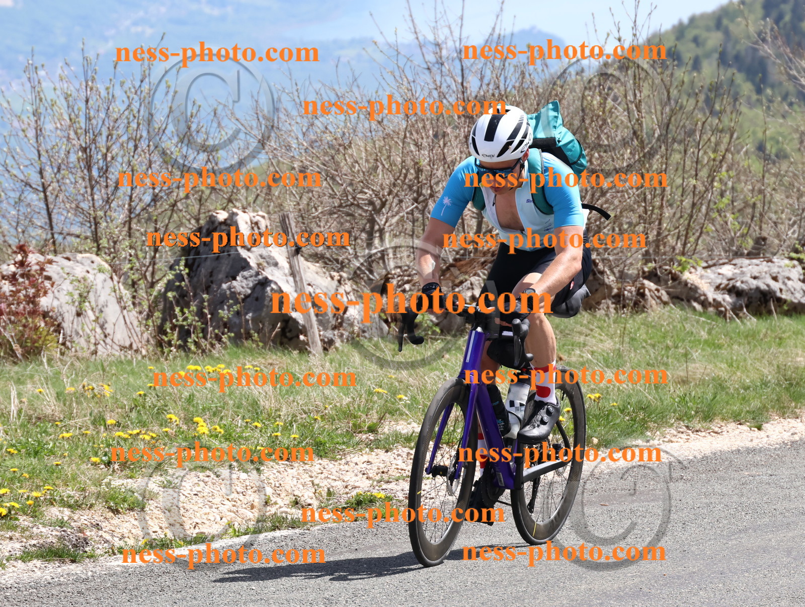 Col du Grand Colombier (889).JPG