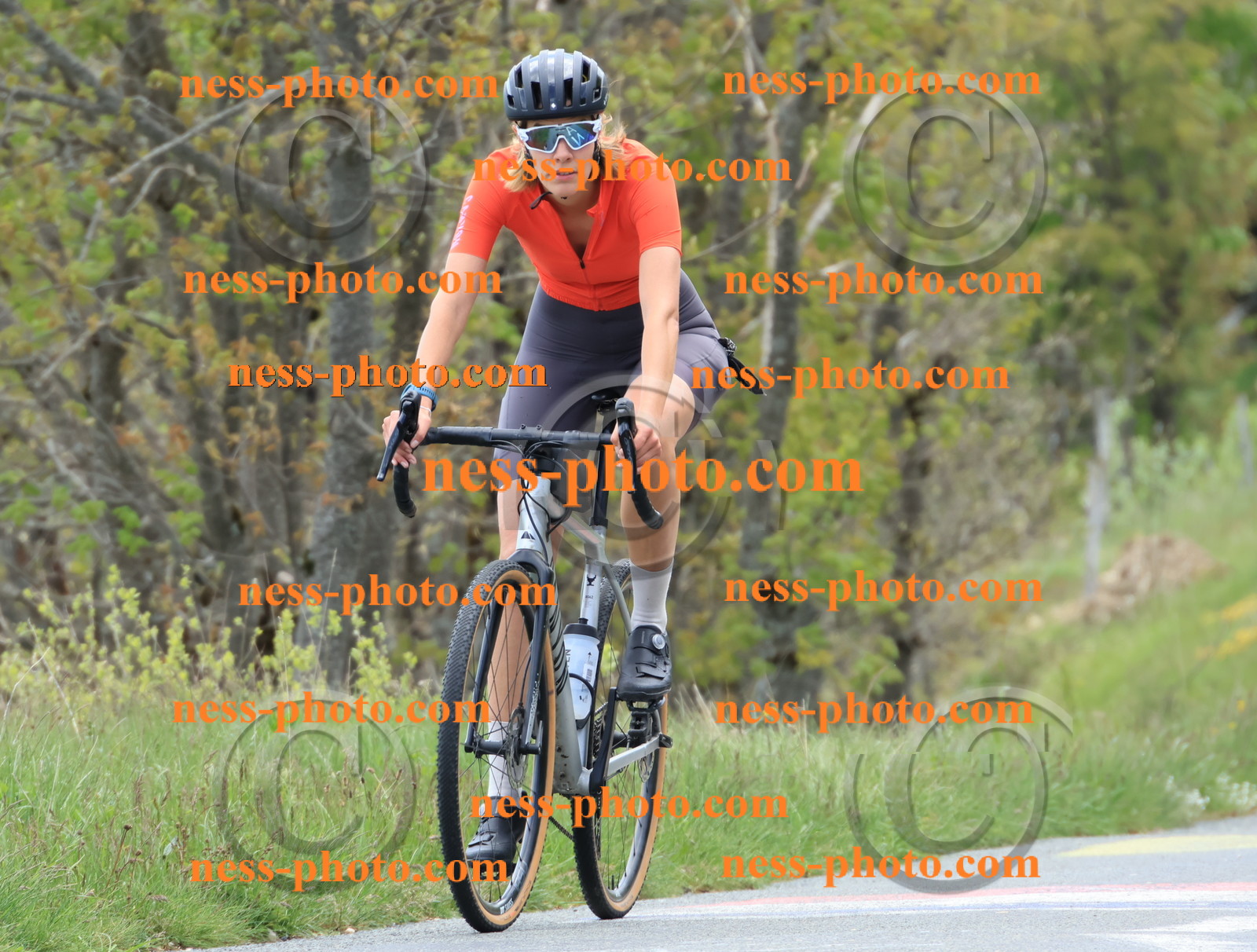 Col du Grand Colombier (388).JPG