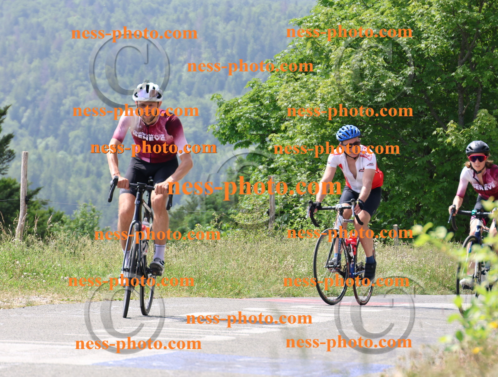 Col du grand Colombier (1747).JPG