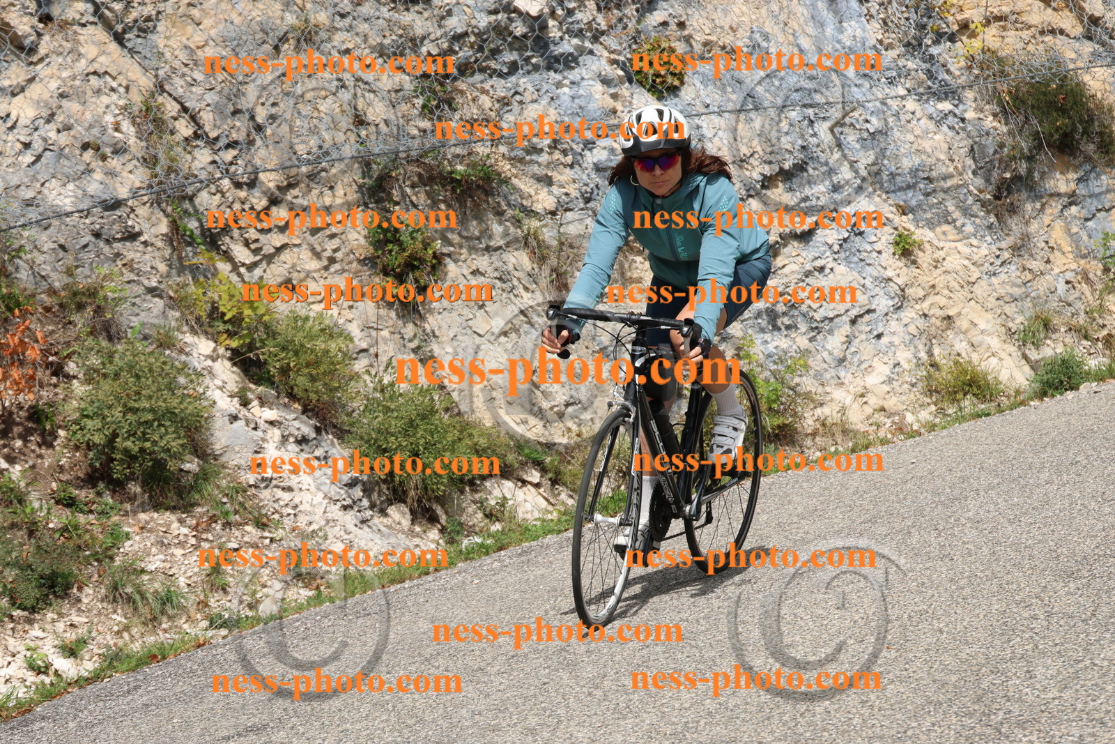 Col du Grand Colombier (580).JPG