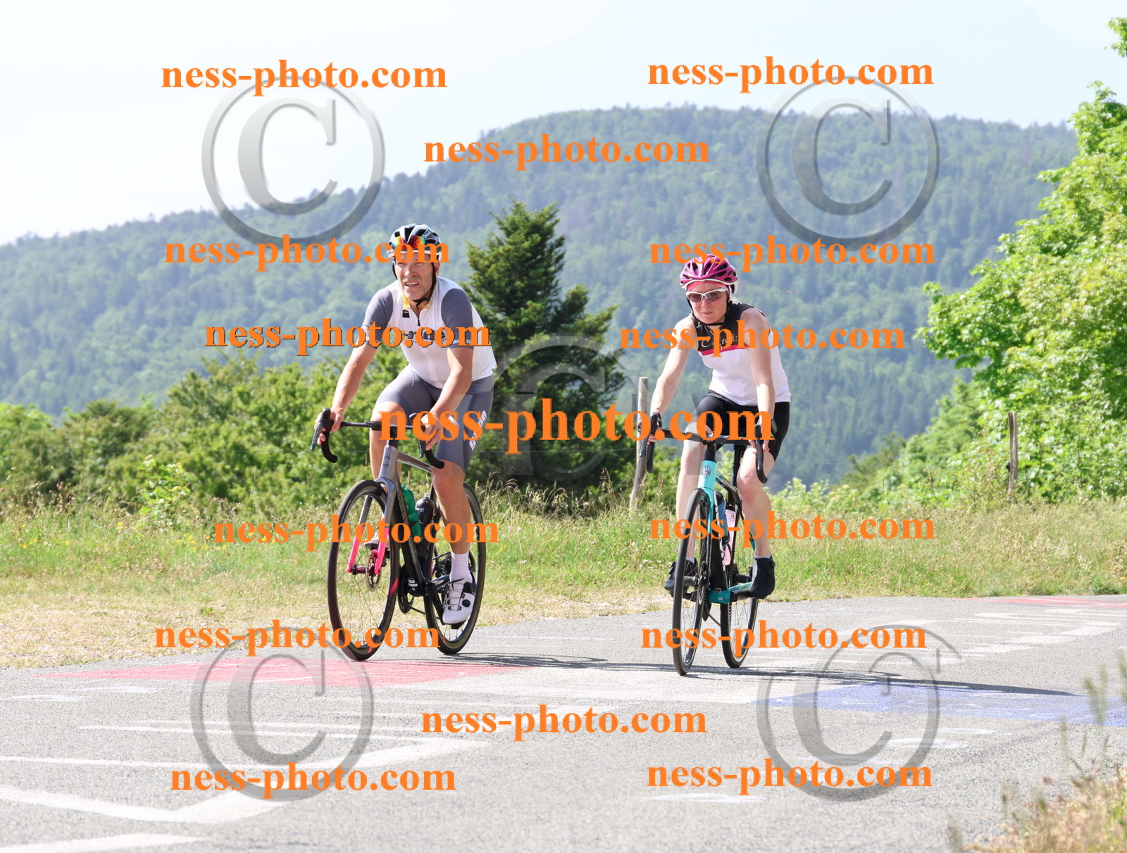 Col du grand Colombier (887).JPG