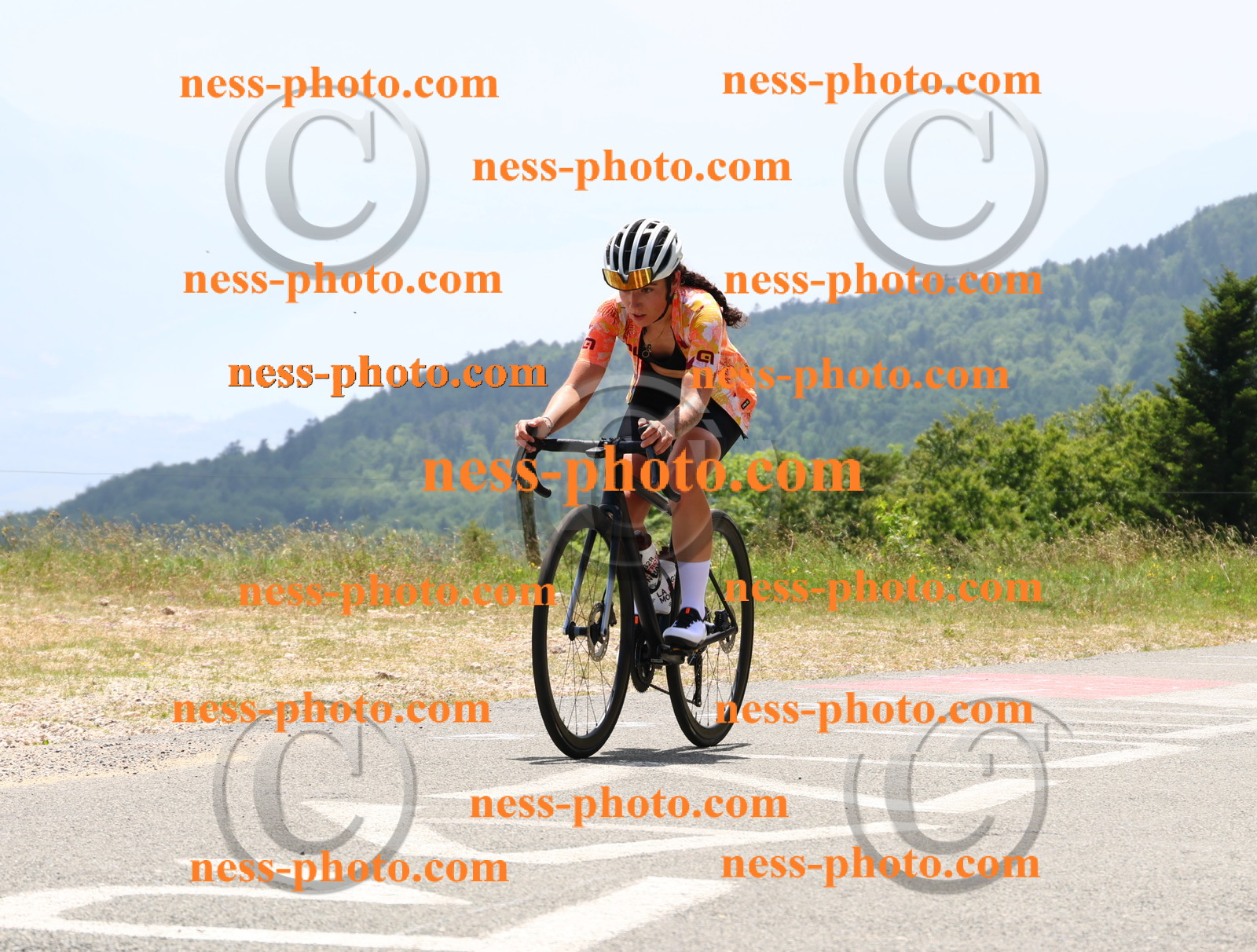 Col du grand Colombier (2932).JPG