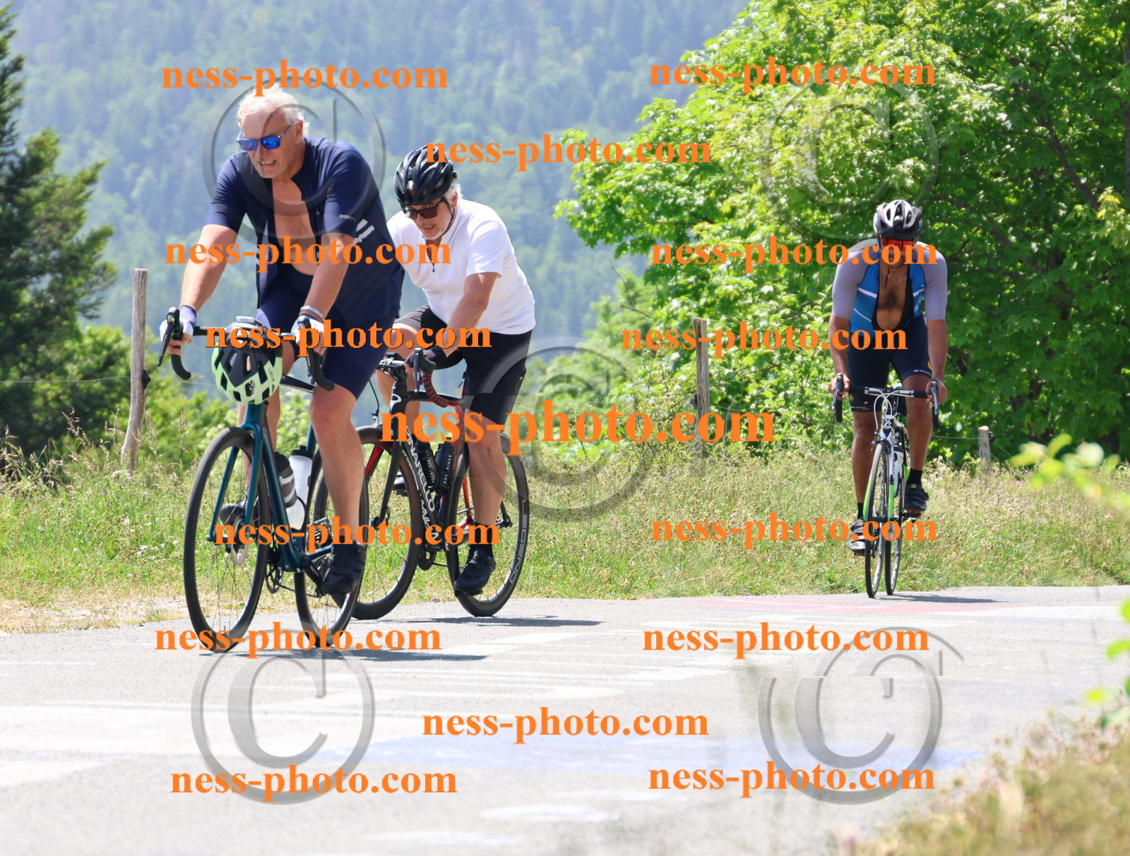 Col du grand Colombier (2644).JPG