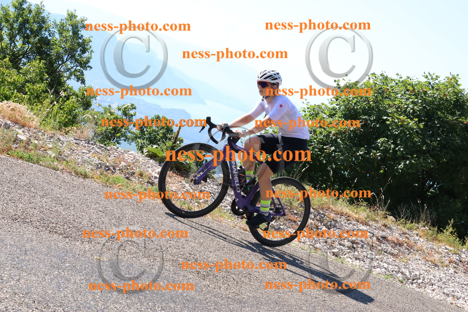 Col du Grand Colombier (70).JPG