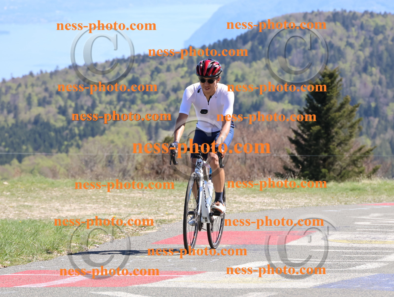 Col du Grand Colombier (1062).JPG