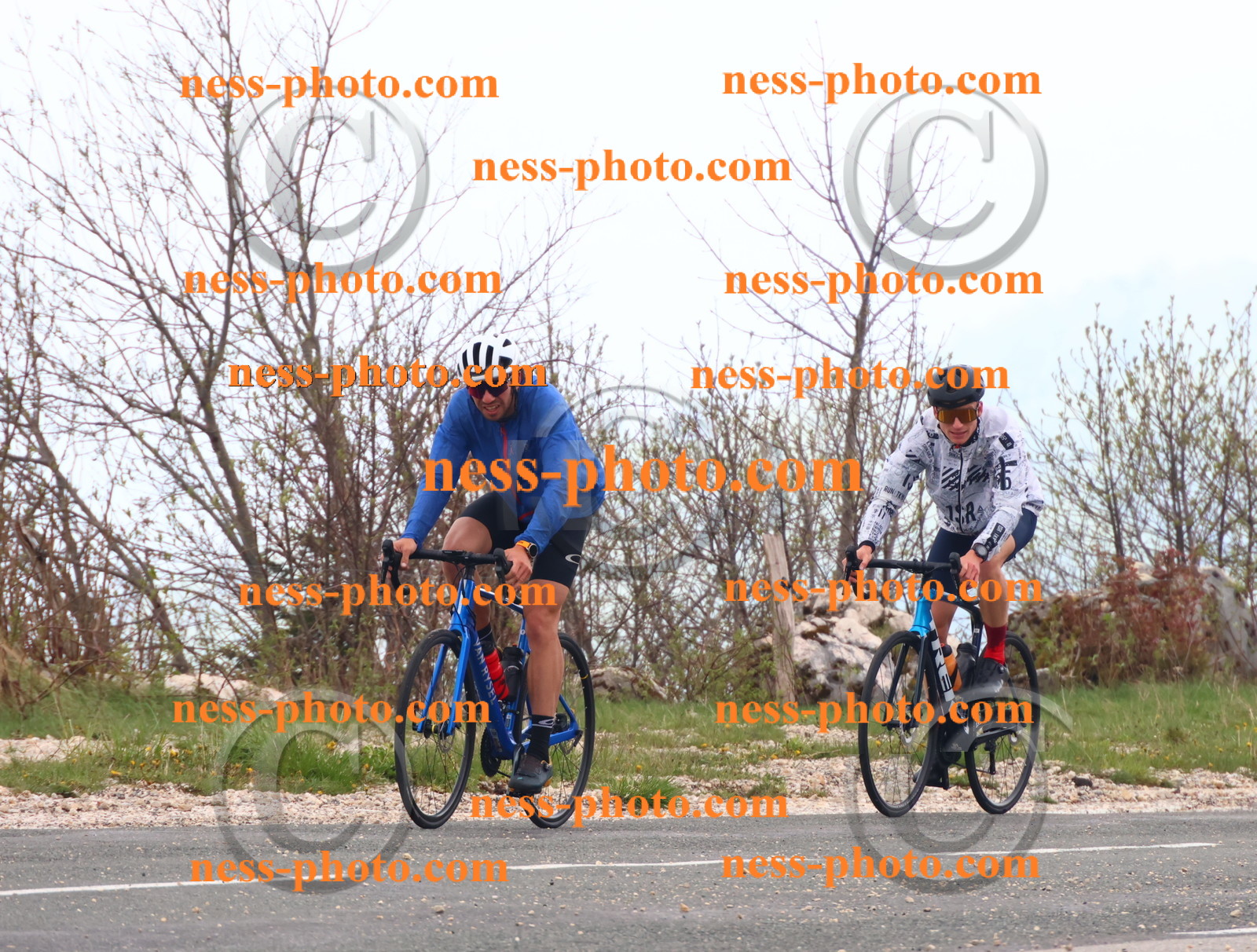 Col du Grand Colombier (65).JPG